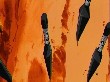 OUTPUT_001881.jpg